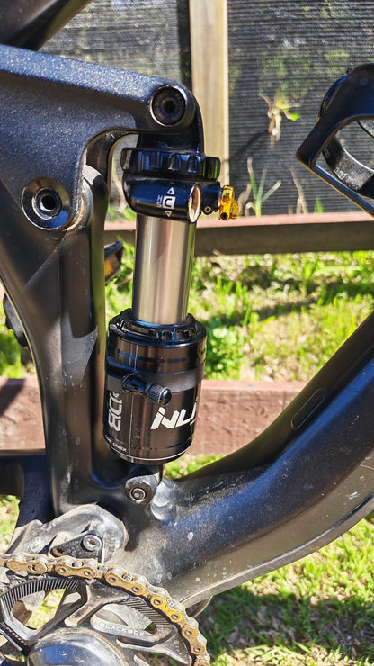 Canyon Spectral cf 9.0 ex